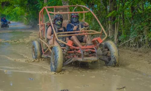 Elite Family Experience - 2