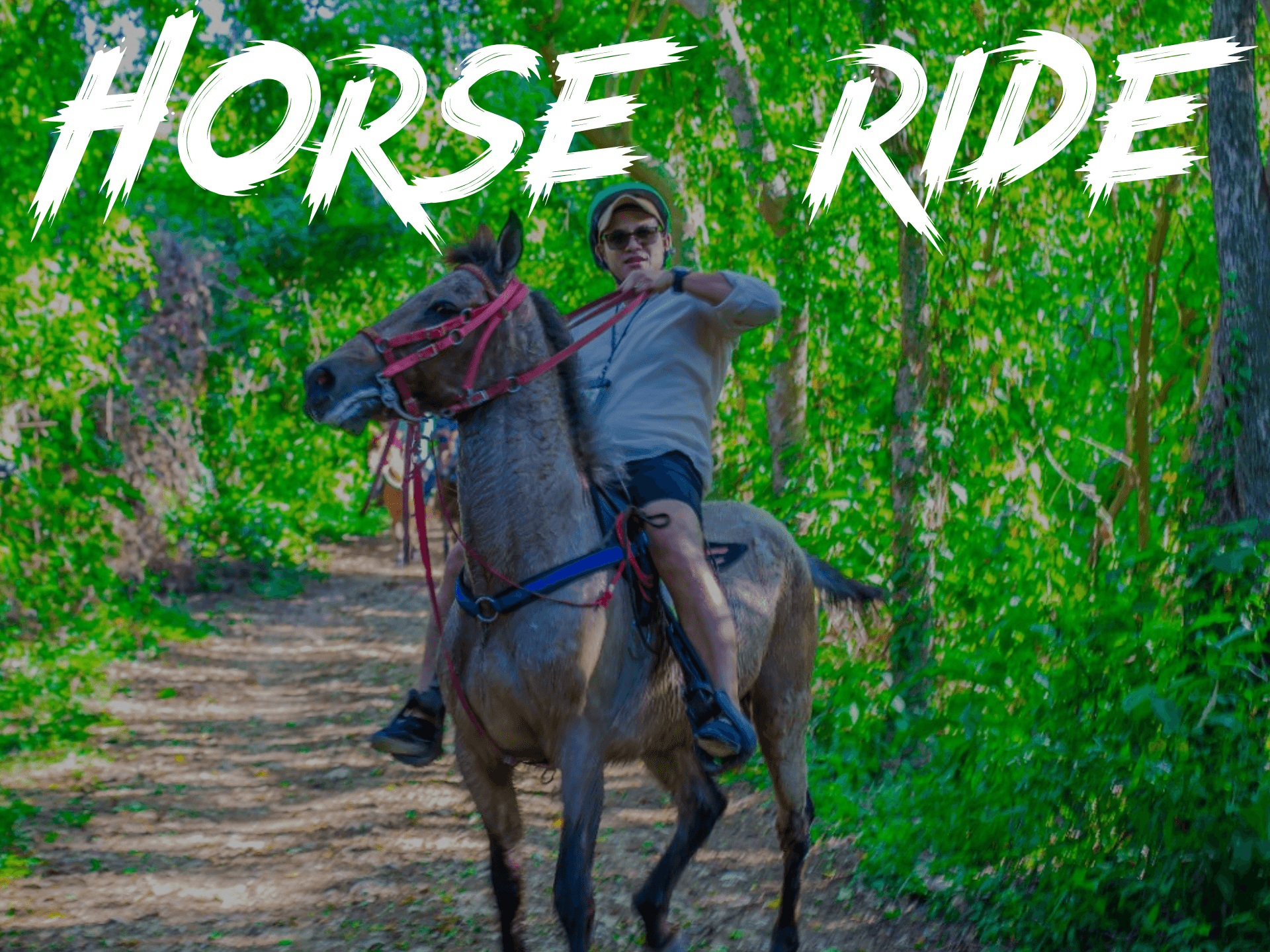 Horseback Ride